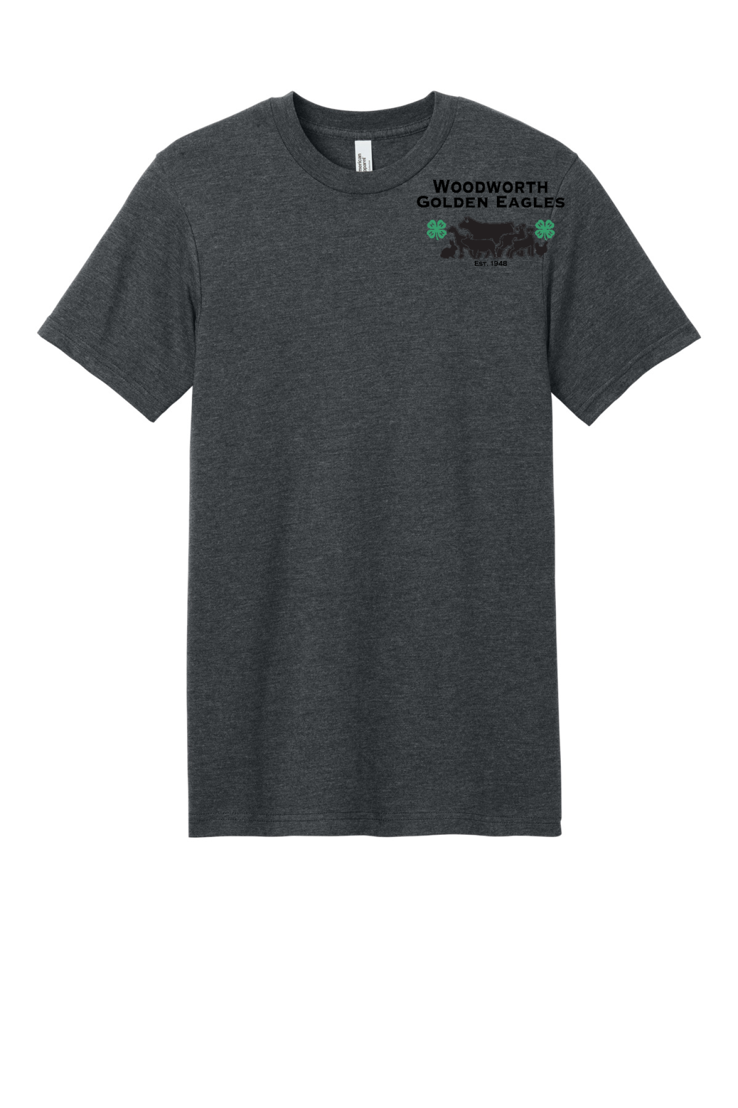 American Apparel Unisex CVC Tee 2001CVC