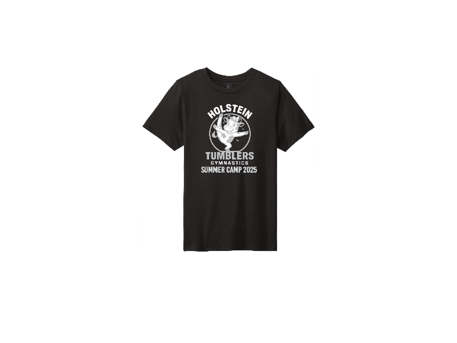 District Youth Perfect Tri Tee. DT130Y