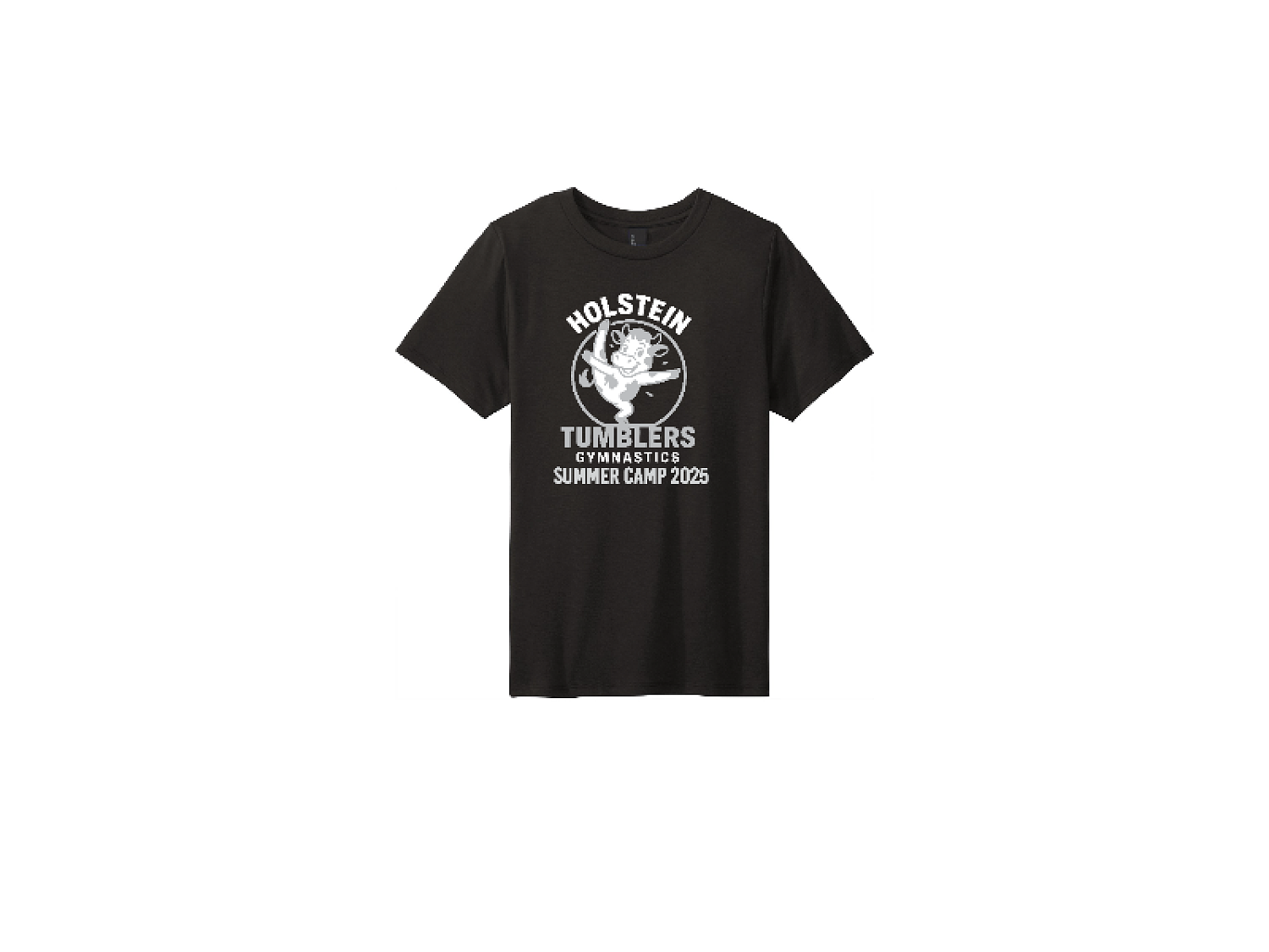 District Youth Perfect Tri Tee. DT130Y